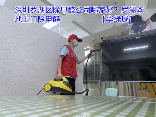 新车除甲醛去异味.jpg