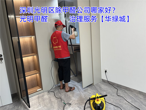 除甲醛服务.jpg